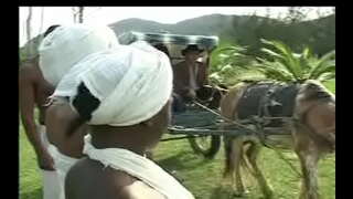 Minangka Negras da senzala